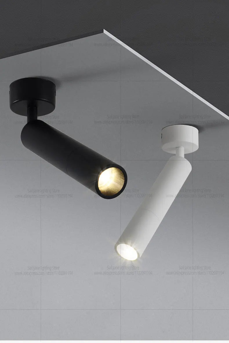 LED Spotlight Ceiling Light
