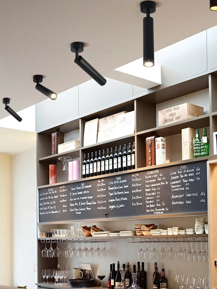 LED Spotlight Ceiling Light