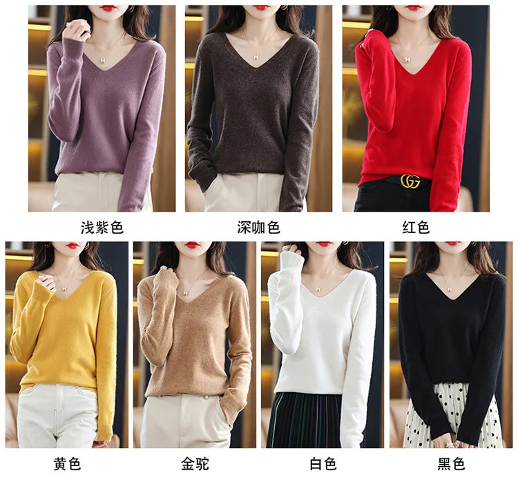 Women Slim Fit V-Neck Sweater