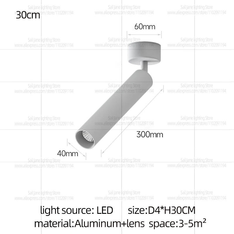 LED Spotlight Ceiling Light