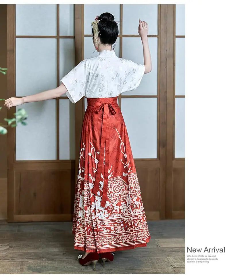 Traditional Hanfu oversized embroidered blouse with a red skirt, showcasing elegant design and cultural style.