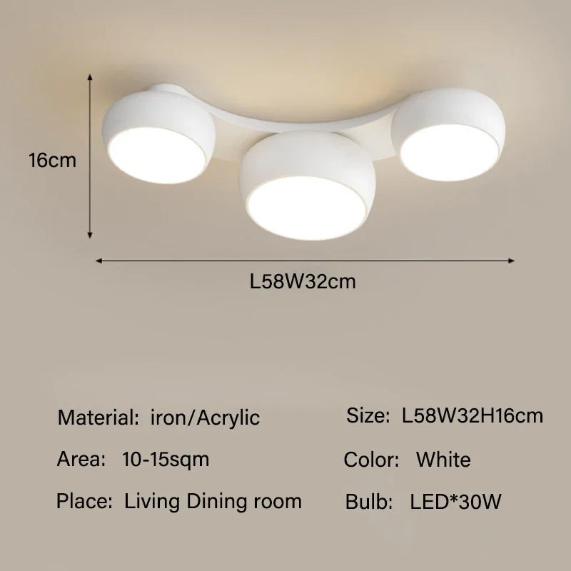 Minimalist LED Ceiling Main Light