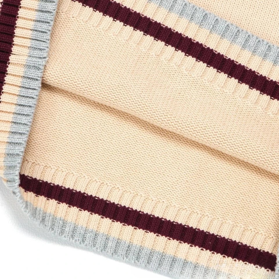 Men Sleeveless V-Neck Sweater Vest