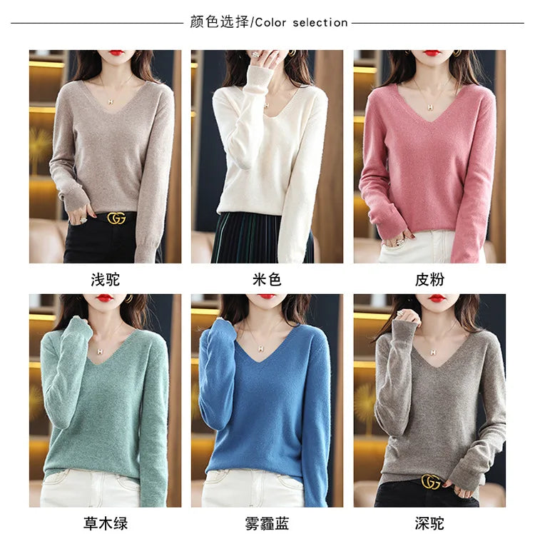 Women Slim Fit V-Neck Sweater