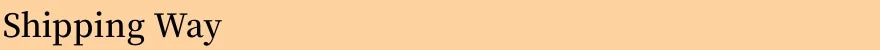 Shipping Way text on a solid background, highlighting delivery options.
