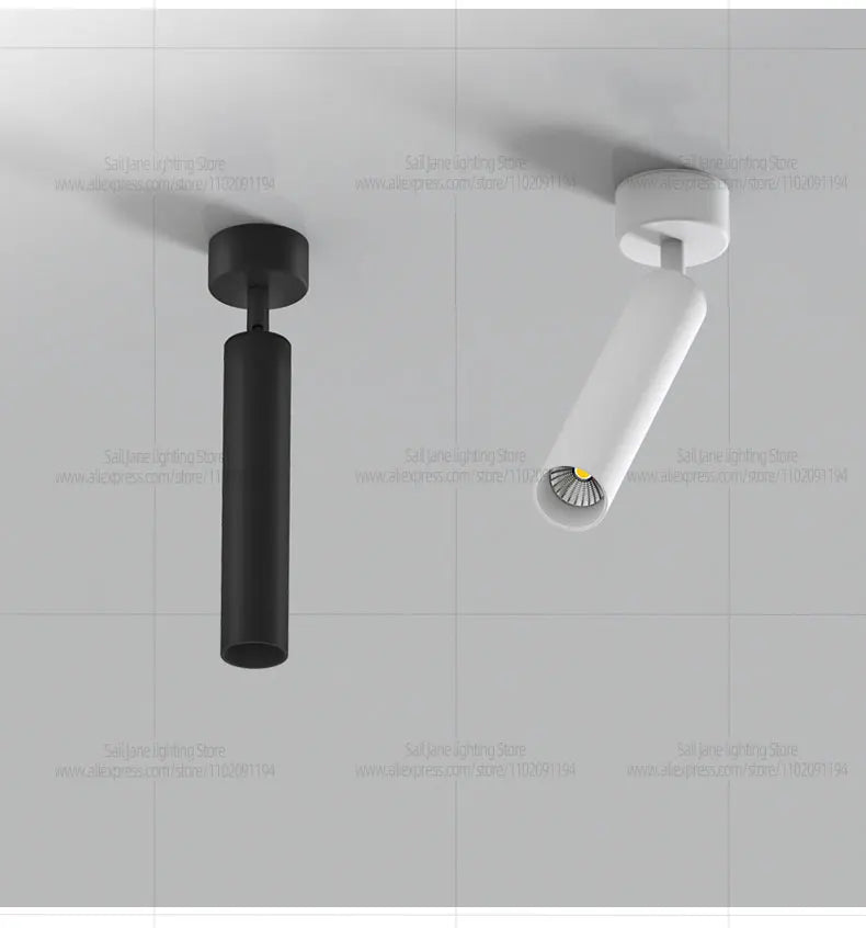 LED Spotlight Ceiling Light