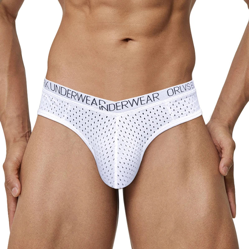 Men's Mesh Briefs – Gay Pouch Thongs