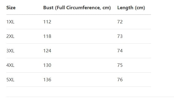 Women's Plus Size Long Sleeve Top – 2025 Collection