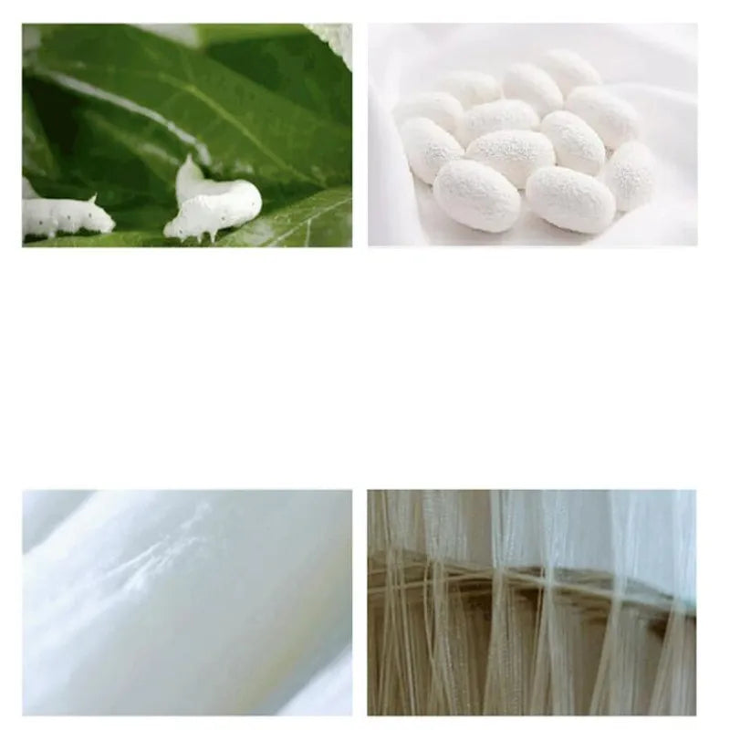 Silk production process: sericulture with silkworms, cocoons, raw silk fibers, and silk weaving materials.