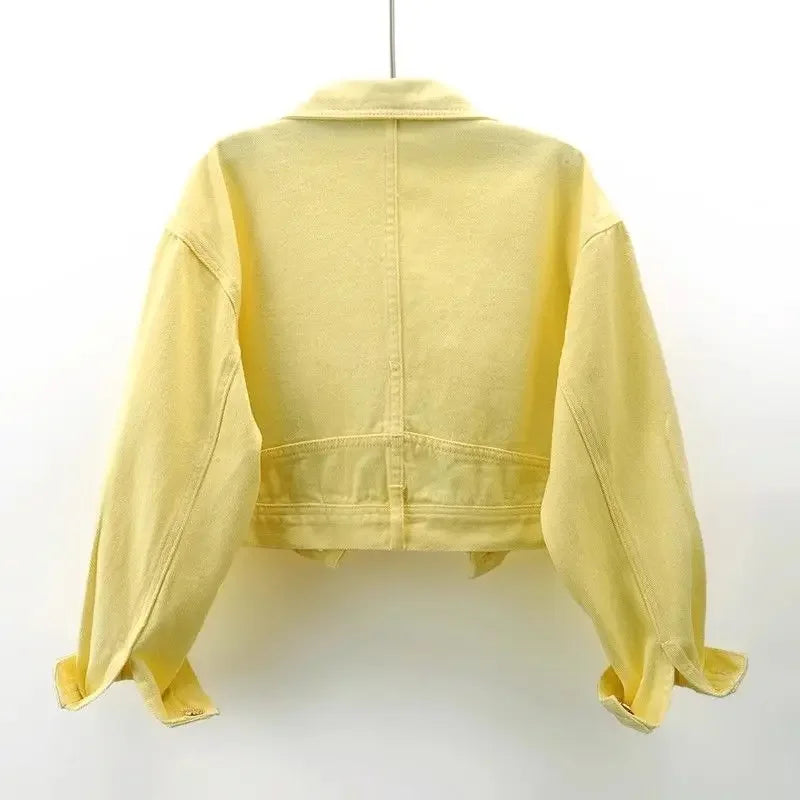 Floral Embroidery Denim Crop Jacket for Women