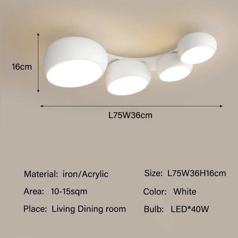 Minimalist LED Ceiling Main Light