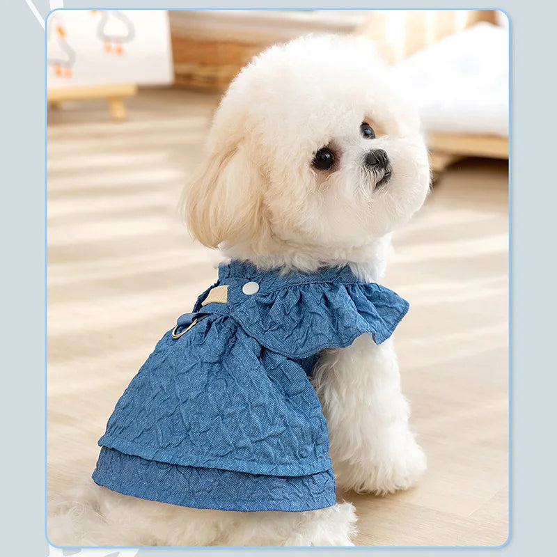Cute Dog Girl Dresses for Spring & Summer