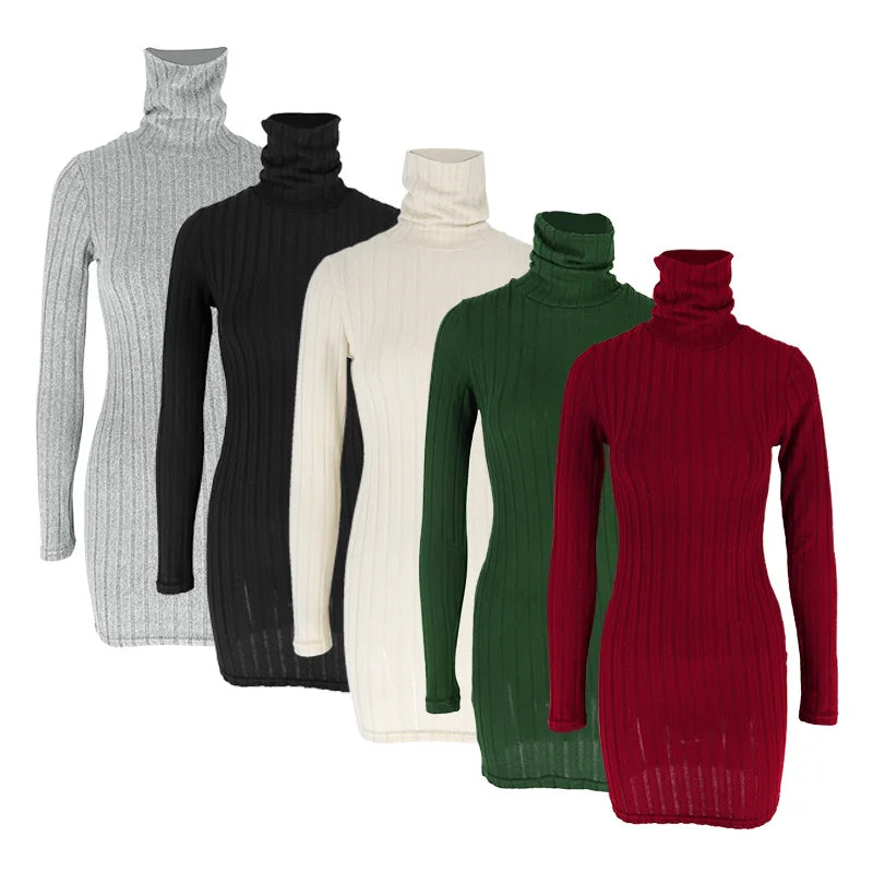 Women's Turtleneck Bodycon Mini Dress