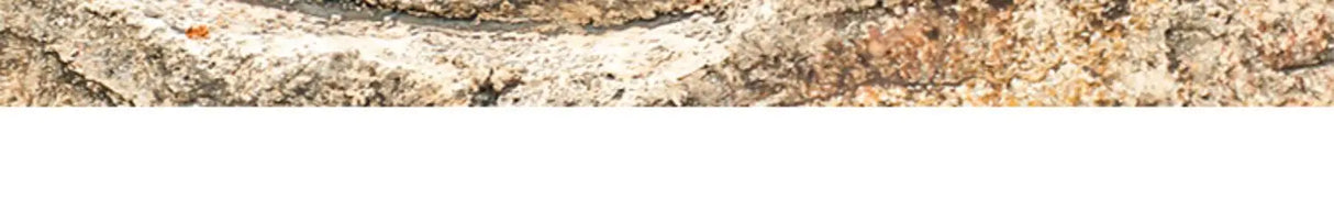 أحذية مطر رجالية منخفضة القطع