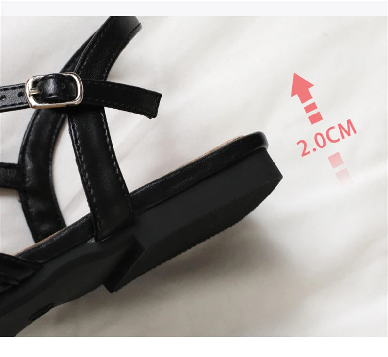 Women’s Pointed Toe Flat Roman Sandals