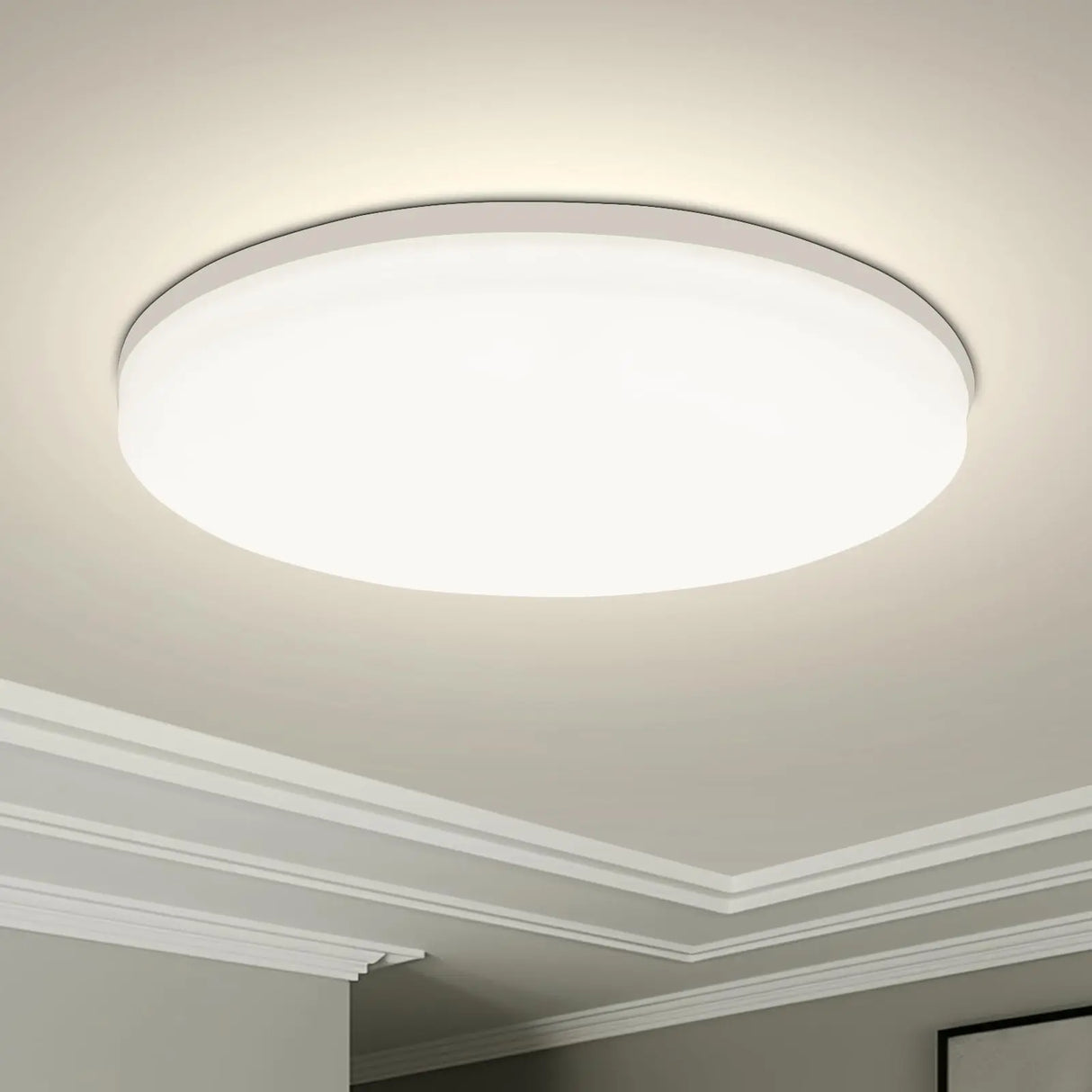 Round LED Ceiling Light Fixture