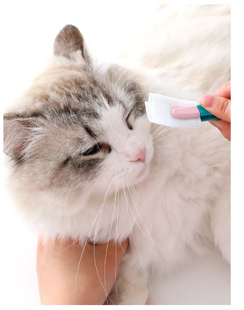 Pet Eye Cleaning Brush | by Anwer Fancy | Worldwide Shipping