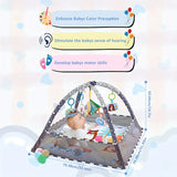 18pcs Deluxe Baby Activity Gym Set