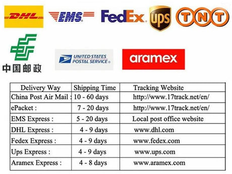Delivery methods and shipping times chart with logos for DHL, EMS, FedEx, UPS, TNT, and Aramex.