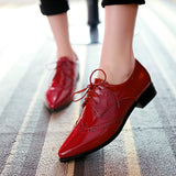 Women Polka Brogues – 2025