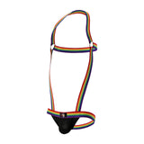 Men’s Suspender Bodysuit Lingerie