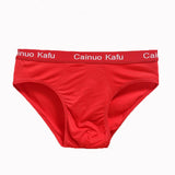 Men 3-Pack Silk Briefs Underwear