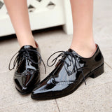Women Polka Brogues – 2025