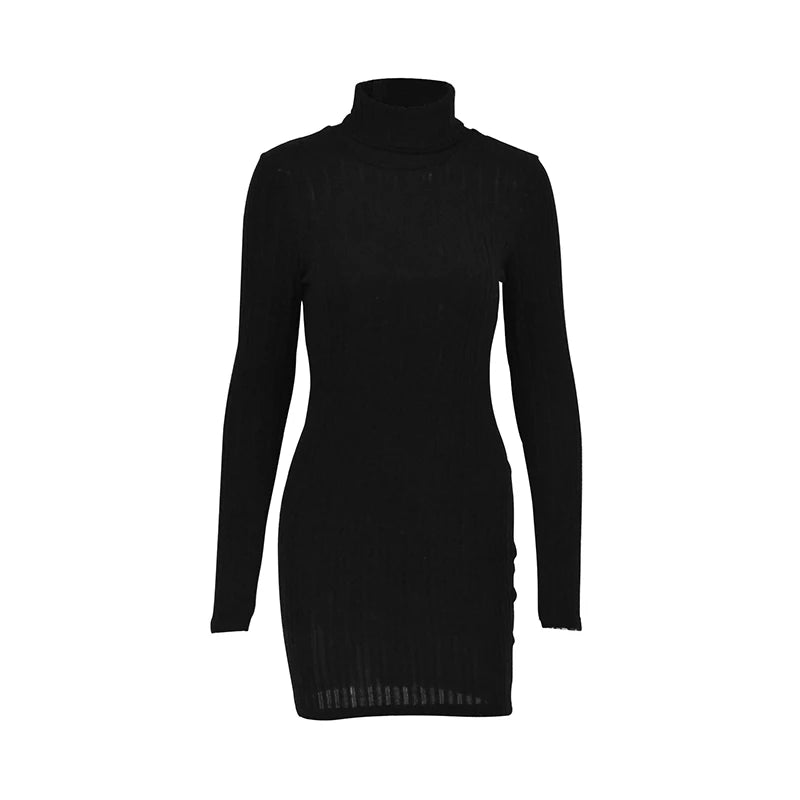 Women's Turtleneck Bodycon Mini Dress