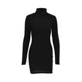 Women's Turtleneck Bodycon Mini Dress