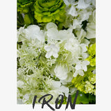 White Green Floral Arrangement Decor