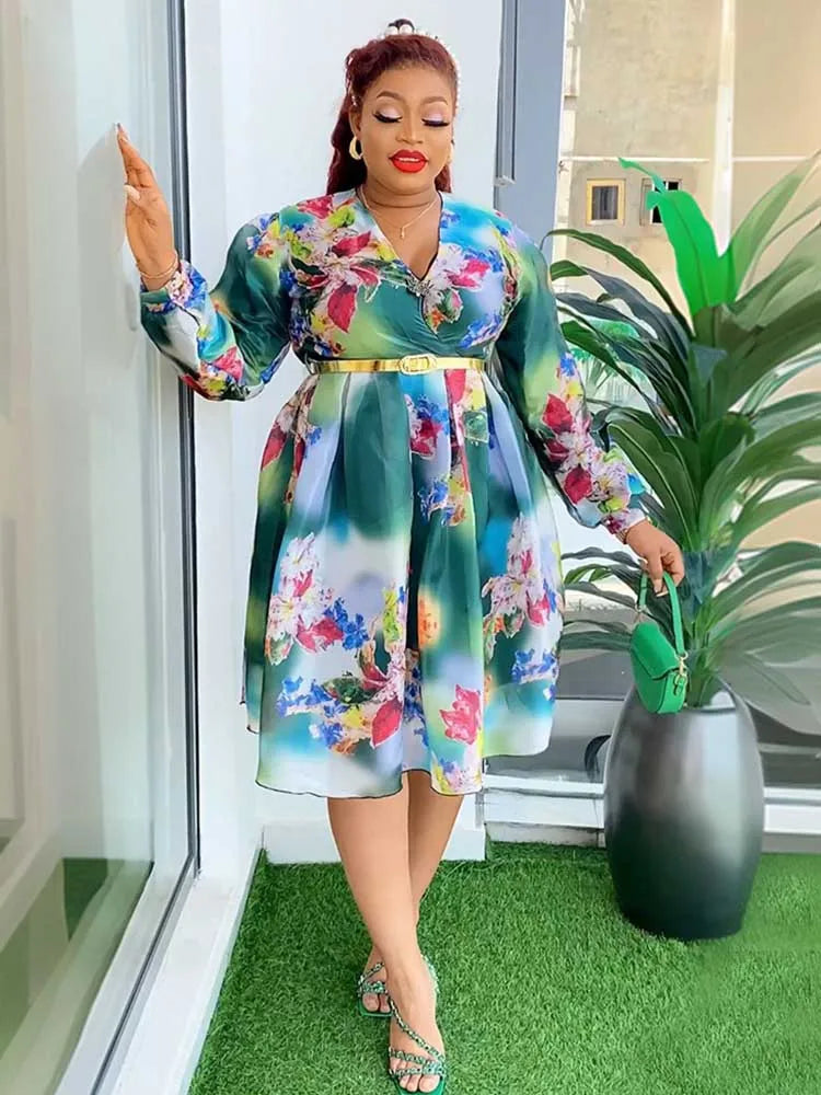 Women V-Neck Chiffon Print Dress