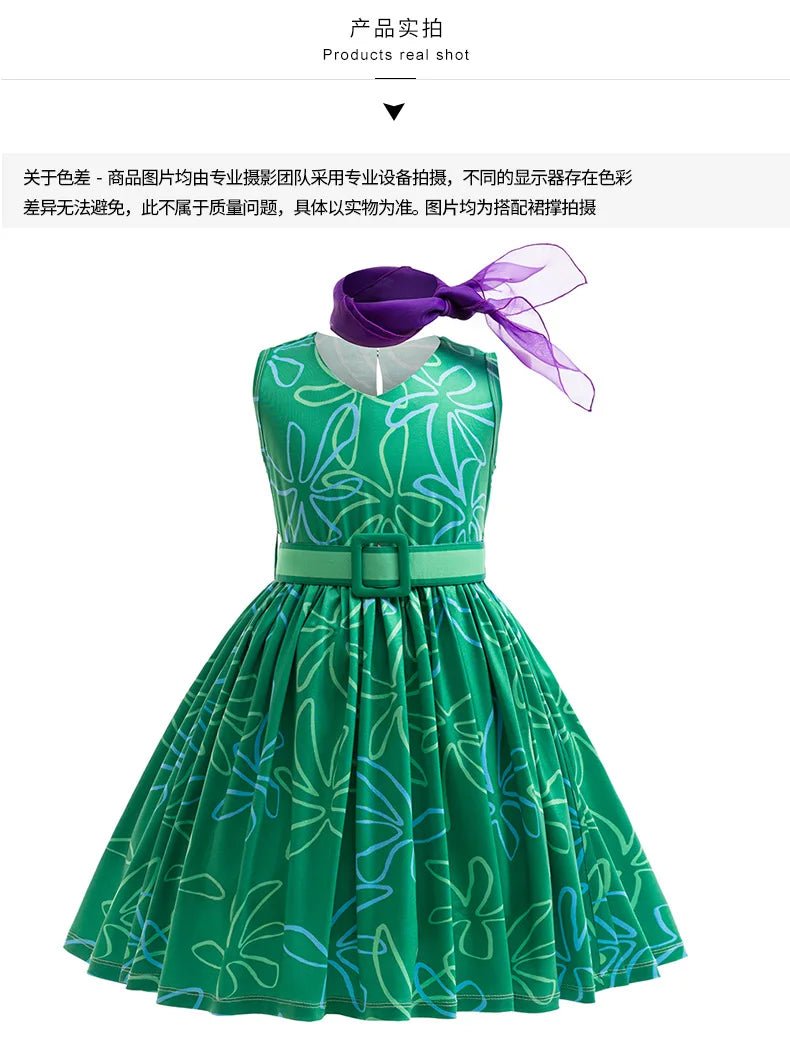 Girls Princess Fancy Dress Costume
