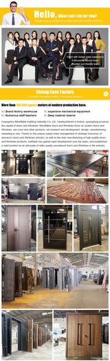 Modern Aluminum Pivot Door