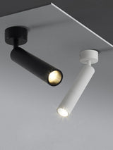 LED Spotlight Ceiling Light