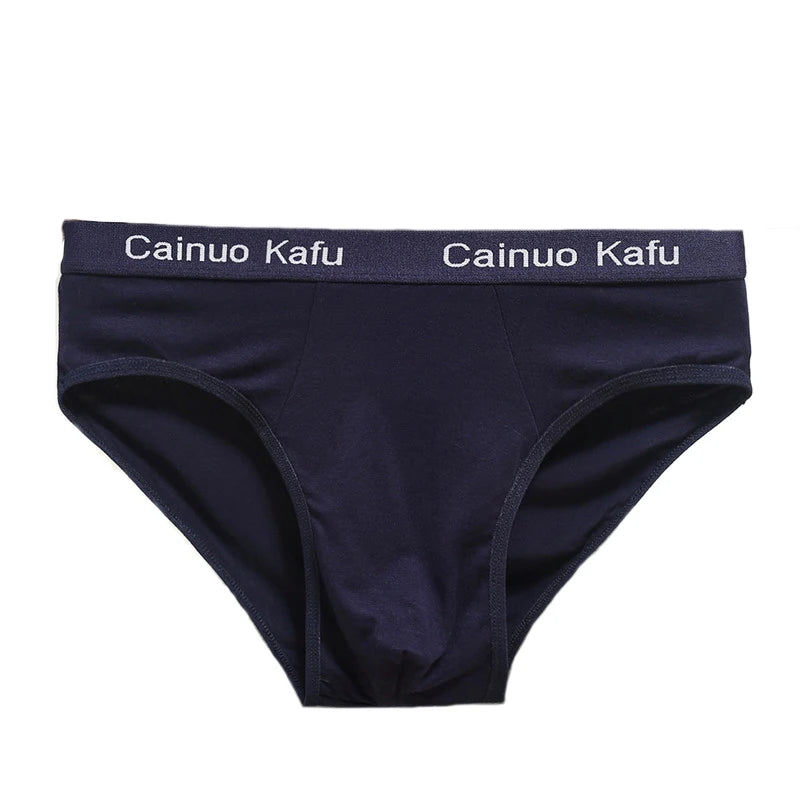 Men 3-Pack Silk Briefs Underwear
