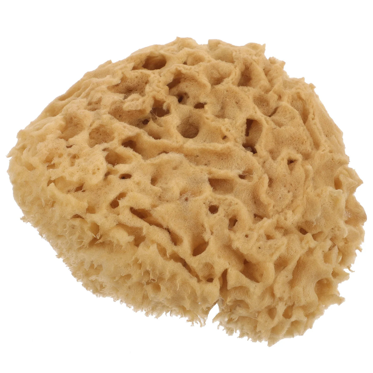 Bath Back Sponge Scrubber