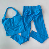 SculptFit Seamless Gym Set