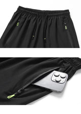 Men's Plus Size Quick Dry Shorts