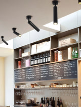 LED Spotlight Ceiling Light