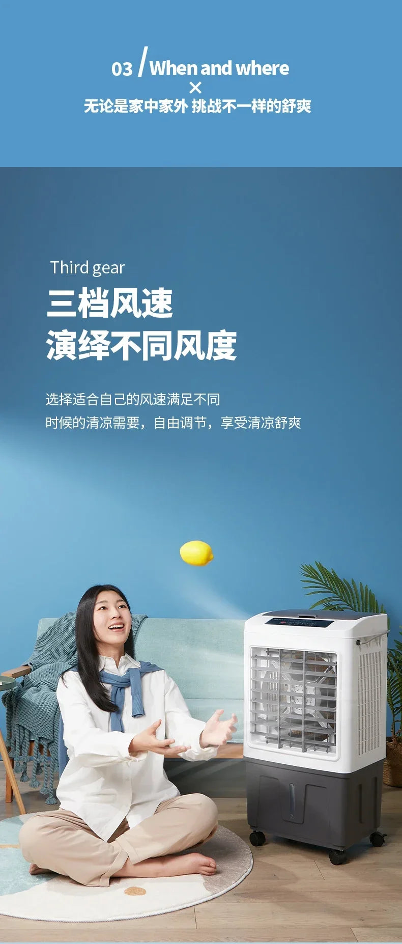 220V Remote Control Fan