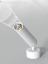 LED Spotlight Ceiling Light
