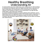 5-in-1 Air Quality Detector