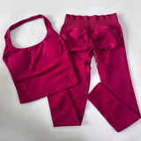 SculptFit Seamless Gym Set