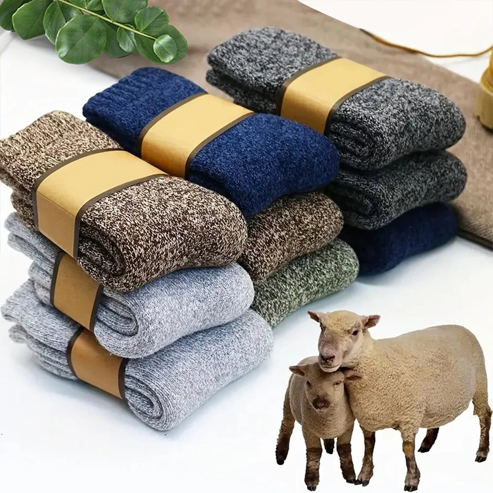 Men’s Solid Color Socks Pack