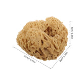 Bath Back Sponge Scrubber