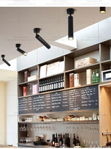 LED Spotlight Ceiling Light