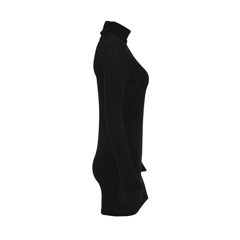 Women's Turtleneck Bodycon Mini Dress