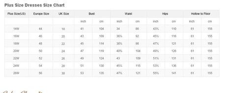 Plus size dresses size chart displaying measurements for bust, waist, hips, and hollow to floor in inches and centimeters.