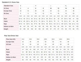 Standard U.S. dress size chart for women's regular and plus sizes with detailed measurements.