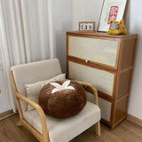 Velvet Decorative Sofa Pillow